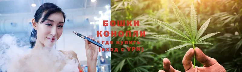 Каннабис OG Kush  Усть-Лабинск 